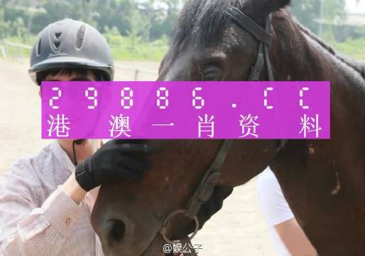 澳门精准一肖一码必中澳门一-全面探讨落实与释义全方位