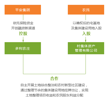 官家婆一肖一特-精选解析与落实的详细结果