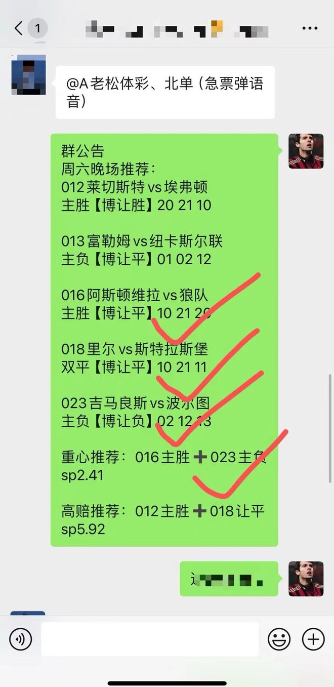 精准三肖三码三期内必开内部资料-精选解析与落实的详细结果