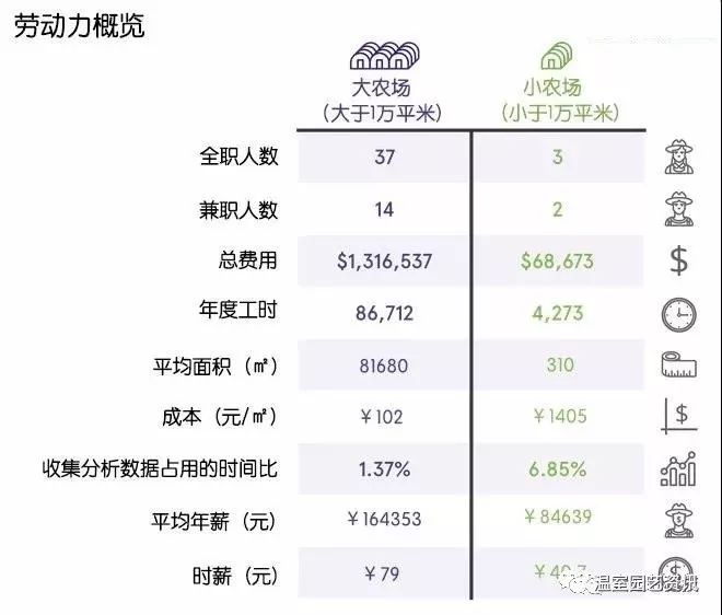 天下彩资料香港正版资料-精准预测及AI搜索落实解释