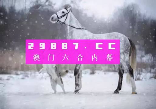 澳门最准一肖一码一码中-精选解析与落实的详细结果